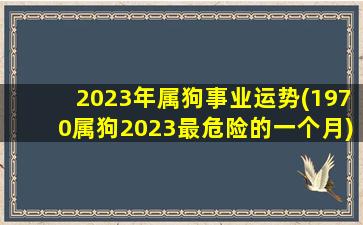 2023年属狗事业运势(1970属狗2023最危险的一个月)