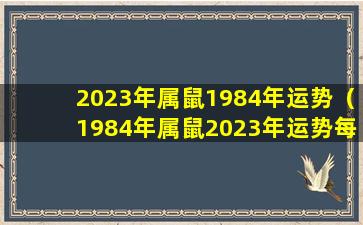 2023年属鼠1984年运势（1984年属鼠2023年运势每月运势）