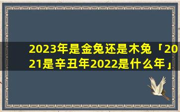 2023年是金兔还是木兔「2021是辛丑年2022是什么年」