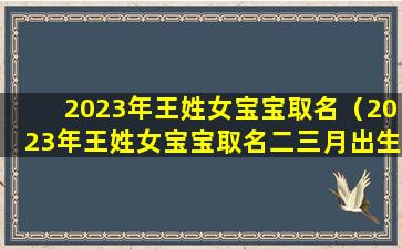 2023年王姓女宝宝取名（2023年王姓女宝宝取名二三月出生）