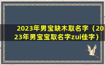 2023年男宝缺木取名字（2023年男宝宝取名字zui佳字）