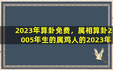 2023年算卦免费，属相算卦2005年生的属鸡人的2023年的*时的运势如何