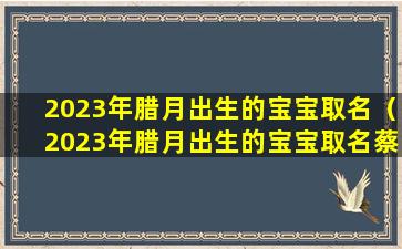 2023年腊月出生的宝宝取名（2023年腊月出生的宝宝取名蔡沐凡可以吗）