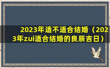 2023年适不适合结婚（2023年zui适合结婚的良辰吉日）