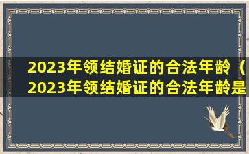 2023年领结婚证的合法年龄（2023年领结婚证的合法年龄是多大）