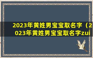 2023年黄姓男宝宝取名字（2023年黄姓男宝宝取名字zui佳字）