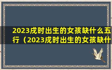 2023戌时出生的女孩缺什么五行（2023戌时出生的女孩缺什么五行属性）