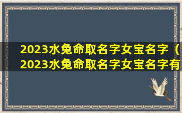 2023水兔命取名字女宝名字（2023水兔命取名字女宝名字有哪些）