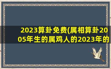 2023算卦免费(属相算卦2005年生的属鸡人的2023年的*时的运势如何)