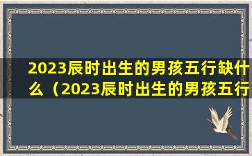 2023辰时出生的男孩五行缺什么（2023辰时出生的男孩五行缺什么属性）