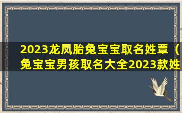 2023龙凤胎兔宝宝取名姓覃（兔宝宝男孩取名大全2023款姓王）