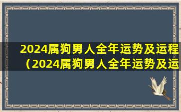 2024属狗男人全年运势及运程（2024属狗男人全年运势及运程如何）