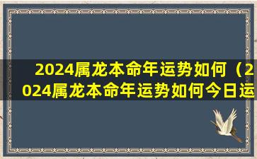 2024属龙本命年运势如何（2024属龙本命年运势如何今日运势）