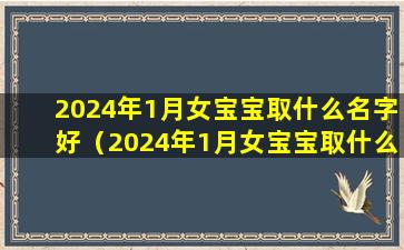 2024年1月女宝宝取什么名字好（2024年1月女宝宝取什么名字好一点）