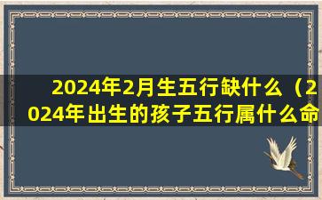 2024年2月生五行缺什么（2024年出生的孩子五行属什么命）