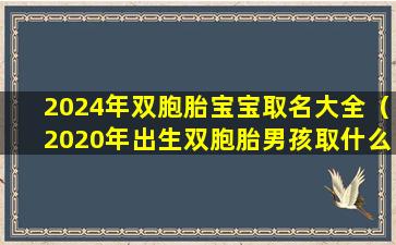 2024年双胞胎宝宝取名大全（2020年出生双胞胎男孩取什么名字）