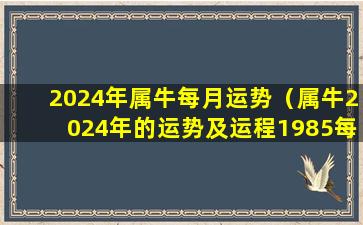 2024年属牛每月运势（属牛2024年的运势及运程1985每月）