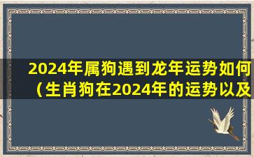 2024年属狗遇到龙年运势如何（生肖狗在2024年的运势以及注意月份）