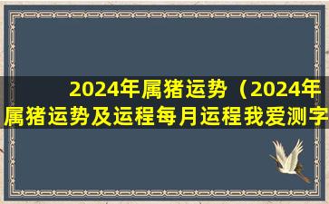 2024年属猪运势（2024年属猪运势及运程每月运程我爱测字网）