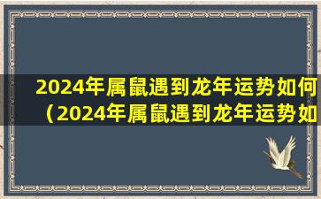 2024年属鼠遇到龙年运势如何（2024年属鼠遇到龙年运势如何呢）