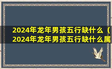 2024年龙年男孩五行缺什么（2024年龙年男孩五行缺什么属性）