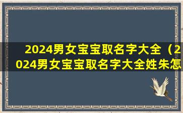 2024男女宝宝取名字大全（2024男女宝宝取名字大全姓朱怎么取）