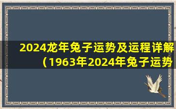 2024龙年兔子运势及运程详解（1963年2024年兔子运势及运程如何）