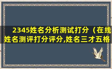 2345姓名分析测试打分（在线姓名测评打分评分,姓名三才五格吉凶评测）