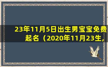 23年11月5日出生男宝宝免费起名（2020年11月23生,取宝宝名字女孩）