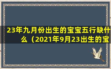 23年九月份出生的宝宝五行缺什么（2021年9月23出生的宝宝五行缺什么）