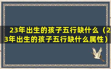 23年出生的孩子五行缺什么（23年出生的孩子五行缺什么属性）