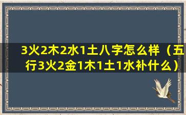 3火2木2水1土八字怎么样（五行3火2金1木1土1水补什么）