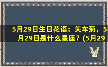 5月29日生日花语：矢车菊，5月29日是什么星座？(5月29日的生日花是什么花）