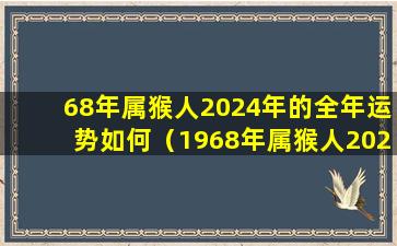 68年属猴人2024年的全年运势如何（1968年属猴人2024年运势及运程男性）