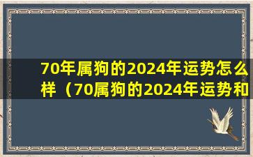 70年属狗的2024年运势怎么样（70属狗的2024年运势和财运怎么样）