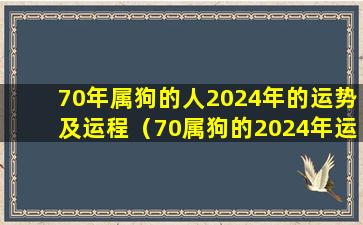 70年属狗的人2024年的运势及运程（70属狗的2024年运势和财运怎么样）