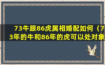 73牛跟86虎属相婚配如何（73年的牛和86年的虎可以处对象么）