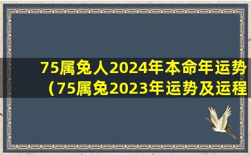 75属兔人2024年本命年运势（75属兔2023年运势及运程每月运程）