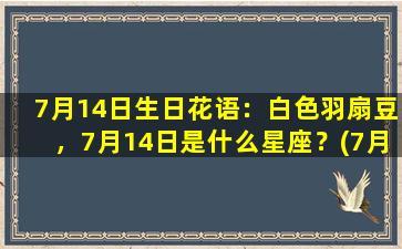 7月14日生日花语：白色羽扇豆，7月14日是什么星座？(7月14日的生日花是什么）