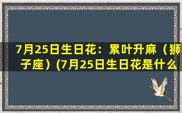 7月25日生日花：累叶升麻（狮子座）(7月25日生日花是什么）