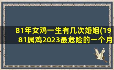 81年女鸡一生有几次婚姻(1981属鸡2023最危险的一个月)