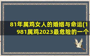 81年属鸡女人的婚姻与命运(1981属鸡2023最危险的一个月)