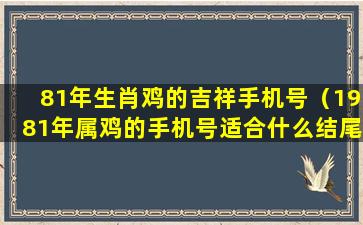 81年生肖鸡的吉祥手机号（1981年属鸡的手机号适合什么结尾）