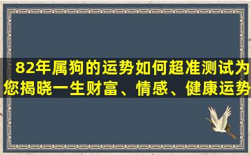 82年属狗的运势如何超准测试为您揭晓一生财富、情感、健康运势