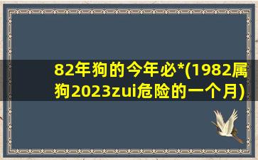 82年狗的今年必*(1982属狗2023zui危险的一个月)