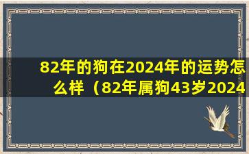 82年的狗在2024年的运势怎么样（82年属狗43岁2024运势怎样）