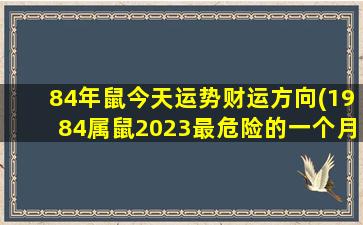 84年鼠今天运势财运方向(1984属鼠2023最危险的一个月)