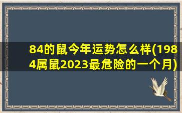 84的鼠今年运势怎么样(1984属鼠2023最危险的一个月)