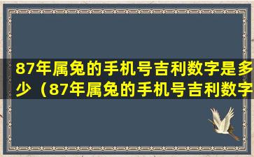 87年属兔的手机号吉利数字是多少（87年属兔的手机号吉利数字是多少）