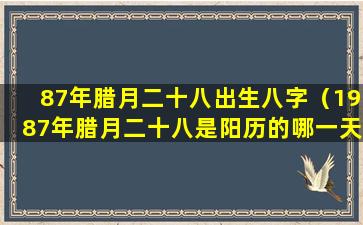 87年腊月二十八出生八字（1987年腊月二十八是阳历的哪一天）